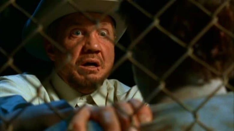 Driftwood電影劇照1