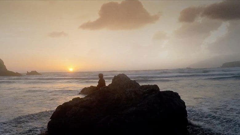 A Boy Called Po電影劇照1