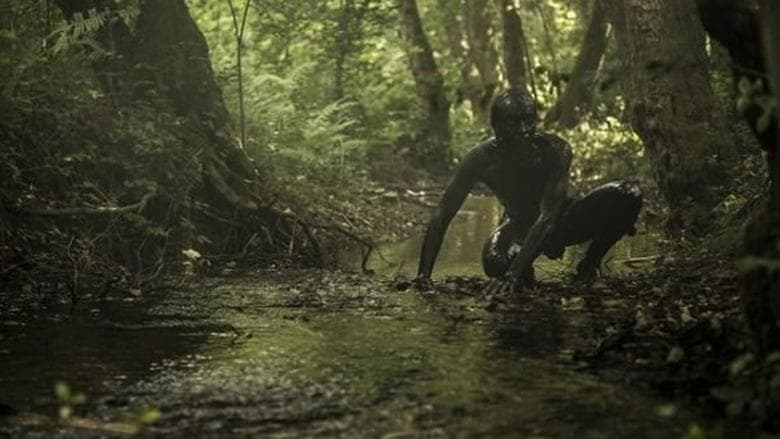 The Book of Vision電影劇照1