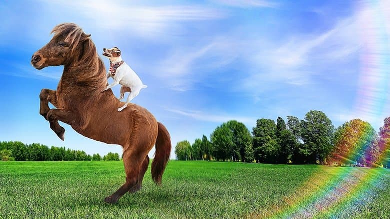 Adventures of Dally and Spanky電影劇照1