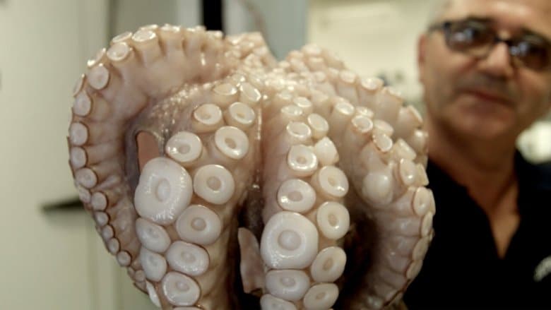 意大利美食之前世今生電影劇照1