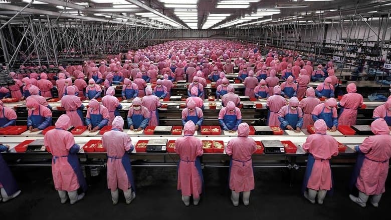 Manufactured Landscapes電影劇照1