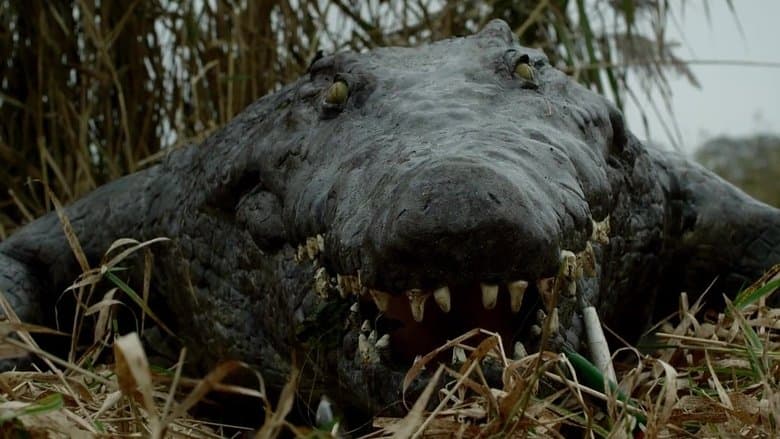 The Hatching電影劇照1