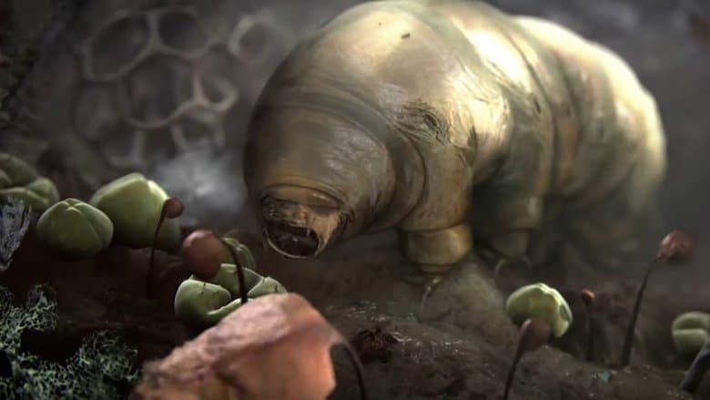 Mycelium電影劇照1