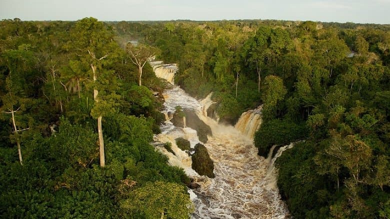 Il était une forêt電影劇照1