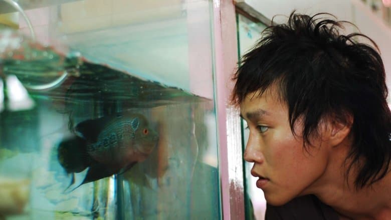 大象與海電影劇照1