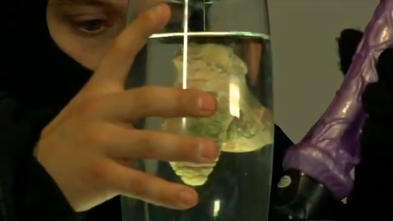 Ellos robaron la picha de Hitler電影劇照1