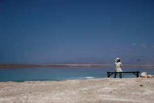 永久居留(HKLGFF 2022)電影劇照5