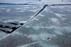 地球很美有賴你電影劇照3