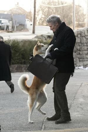 秋田犬八千電影劇照11