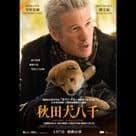 秋田犬八千電影劇照3