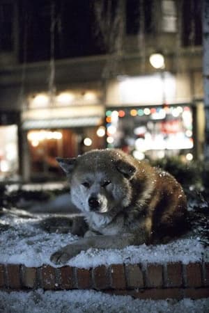 秋田犬八千電影劇照6