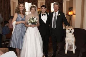 秋田犬八千電影劇照7