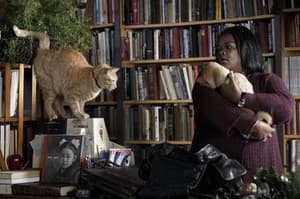 秋田犬八千電影劇照8