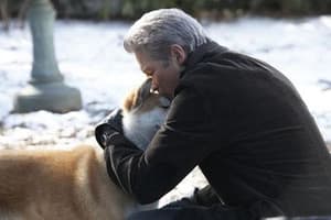 秋田犬八千電影劇照9