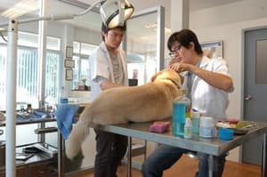 愛在黃昏電影劇照11