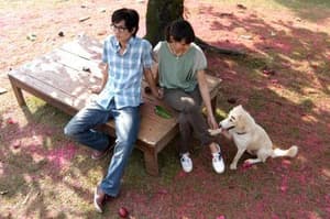 愛在黃昏電影劇照8