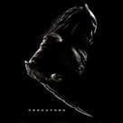 鐵血戰士S電影劇照2