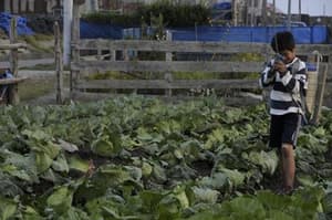 戀愛植男電影劇照9