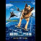 貓狗鬥多番電影劇照2