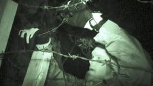 海豚灣電影劇照6