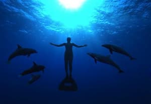 海豚灣電影劇照7