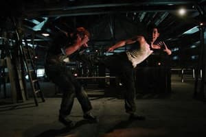 李小龍電影劇照8