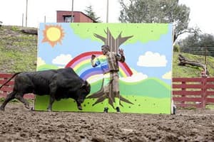 死蠢鬥一番3D電影劇照4