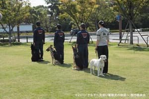 狗狗學警電影劇照6