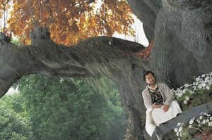 倩女幽魂電影劇照6