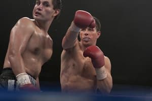 擊情手足電影劇照8