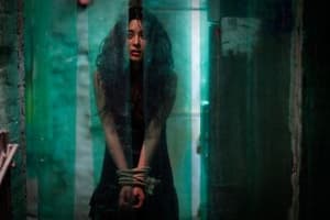 我，看見惡魔電影劇照6