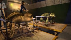 森美海底歷險電影劇照7