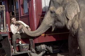 情約奇藝坊電影劇照2