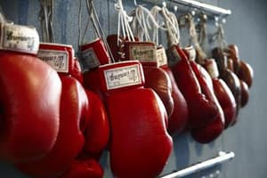 鐵拳浪子電影劇照2