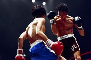 鐵拳浪子電影劇照3