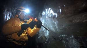 挪亞方舟驚世啟示2電影劇照5