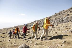 挪亞方舟驚世啟示2電影劇照8