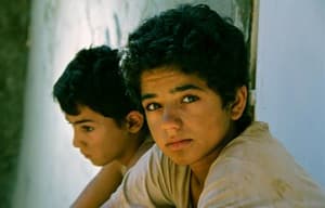 小兄弟騎驢搵美電影劇照4