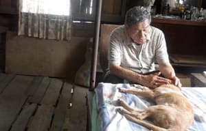 怪老頭與公主狗電影劇照3