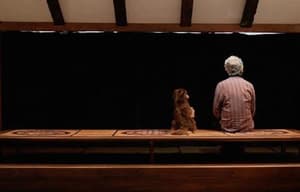 電影關不住電影劇照2