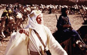 沙漠梟雄電影劇照2