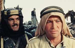 沙漠梟雄電影劇照4