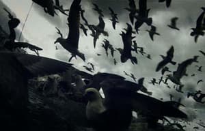 海中獸電影劇照3