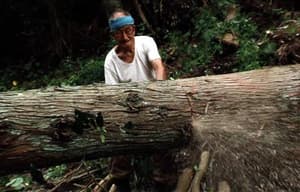 祖之根電影劇照4