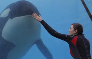 銹與骨電影劇照3