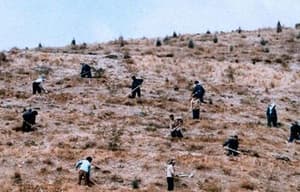 櫻桃的滋味電影劇照2