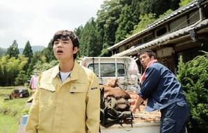 戀上春樹電影劇照8