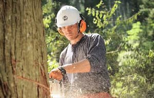 戀上春樹電影劇照9