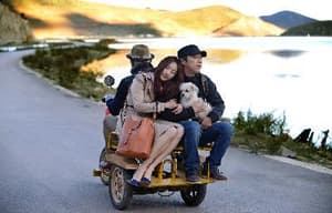 心花路放電影劇照3